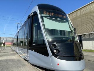 Nez de Rame T1  vu de face (Agrandir l'image - fenêtre modale)